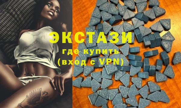 стафф Осинники