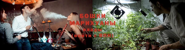 стафф Осинники
