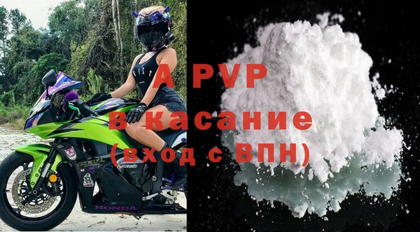 стафф Осинники