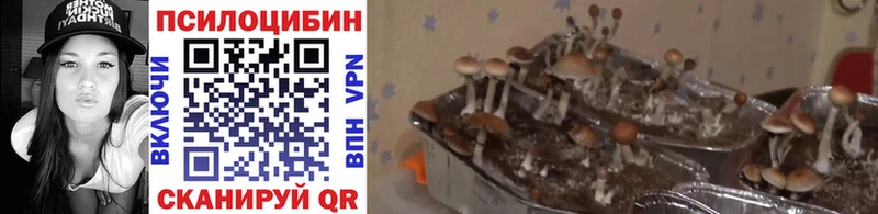 Галлюциногенные грибы мухоморы  гидра ТОР  дарк нет наркотические препараты  Ахтубинск 