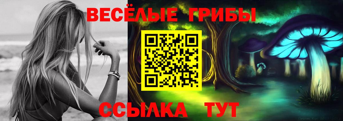 Галлюциногенные грибы GOLDEN TEACHER Ахтубинск