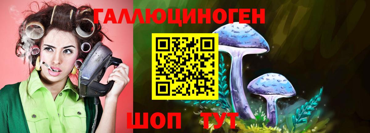 даркнет сайт  Ахтубинск  Псилоцибиновые грибы мухоморы 