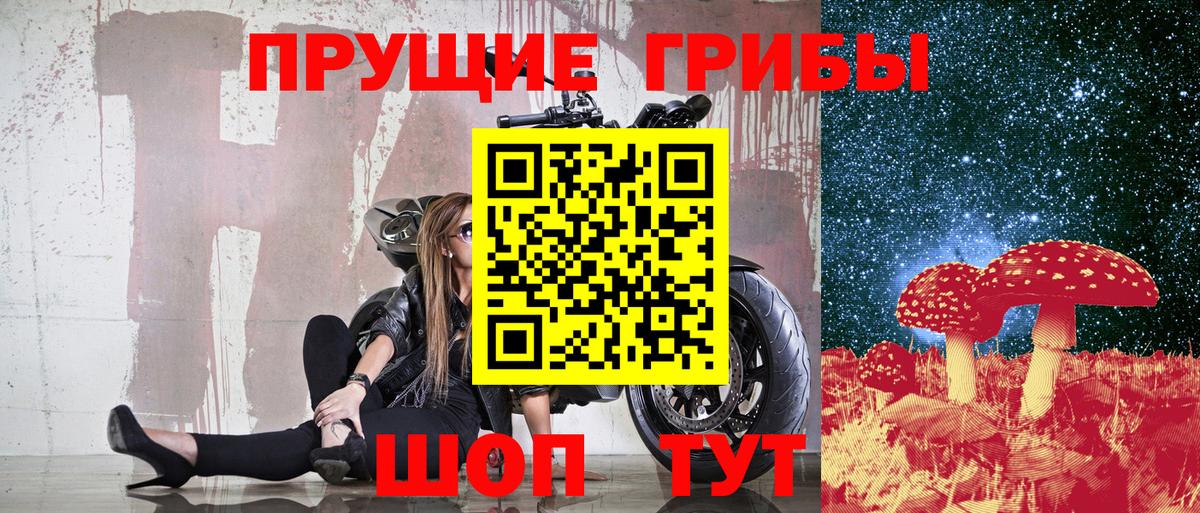 Псилоцибиновые грибы Cubensis  Вход с VPN  Ахтубинск 